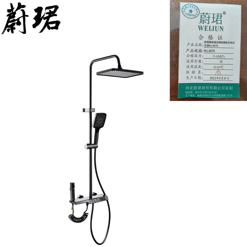 蔚珺牌高端全铜按键枪灰淋浴花洒WJ-8670个 蔚珺牌高端全铜按键枪灰淋浴花洒WJ...